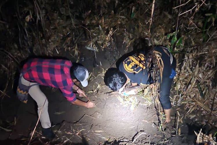 Kasus Pembunuhan di Kebun Tebu Gedangan Malang, Diduga Motif Masalah Cekcok Rumah Tangga